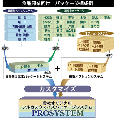 PROSYSTEM構築の流れ