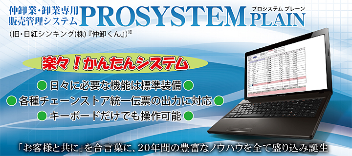 PROSYSTEM PLAIN